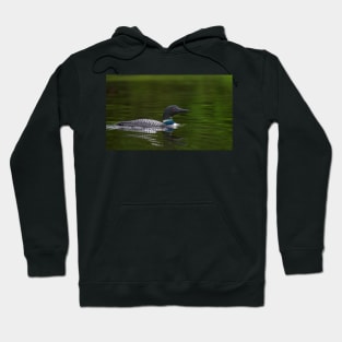 Common loon - Wilson Lake Hoodie